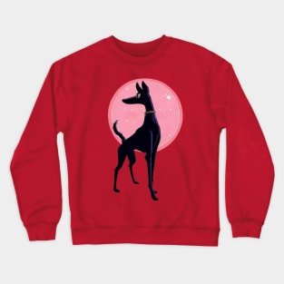 Posing greyhound in the limelight Crewneck Sweatshirt